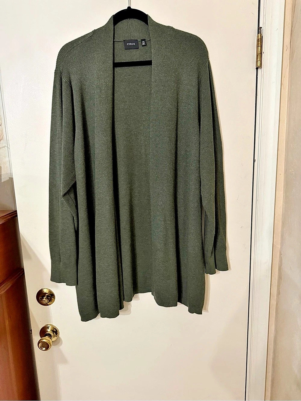 Cyrus Women's Cardigan in Green Size 3X